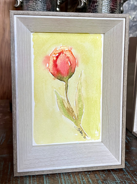 Tulip Watercolor - Framed