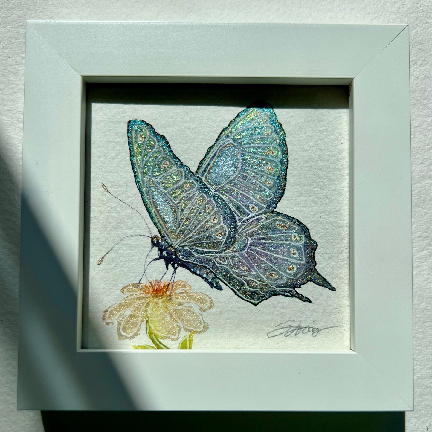 Miniature Framed Butterflies - 4"x4"