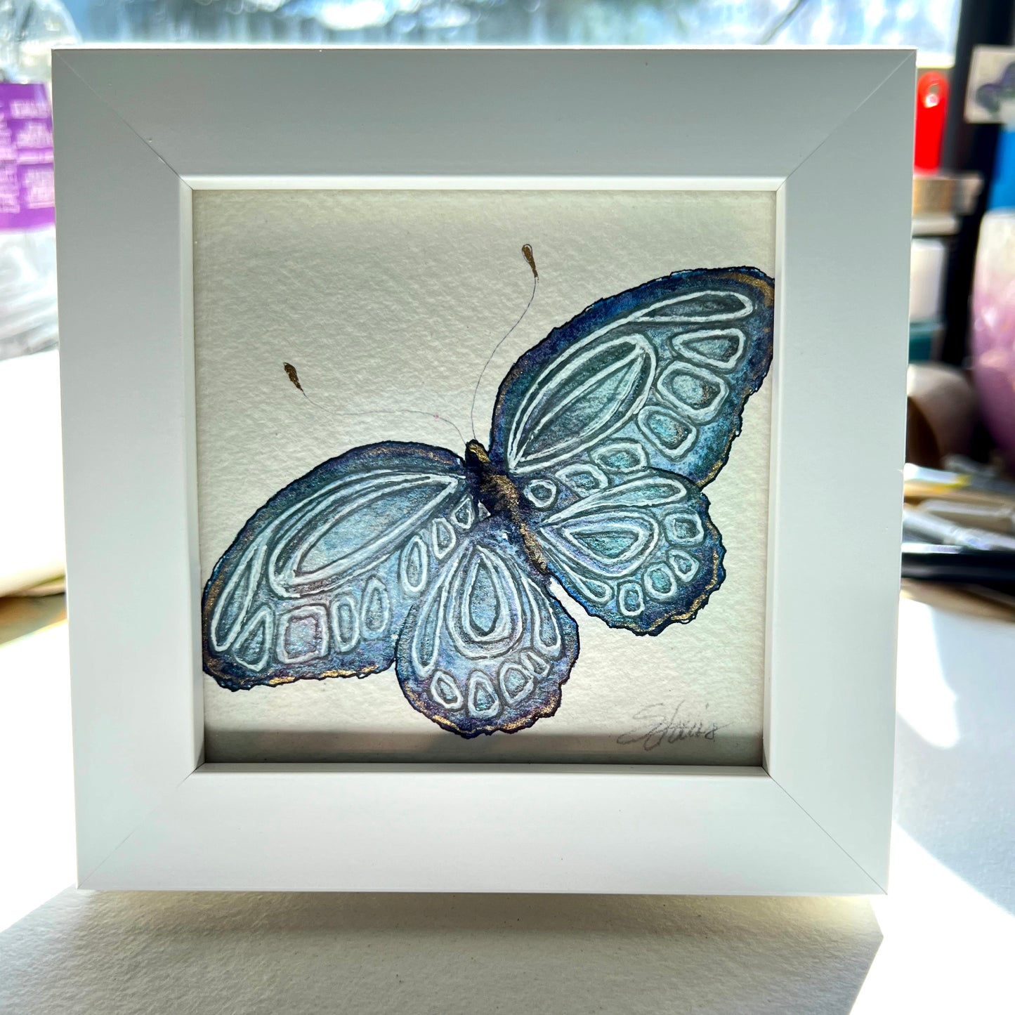 Miniature Framed Butterflies - 4"x4"